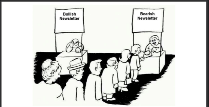 bearish cartoon.png