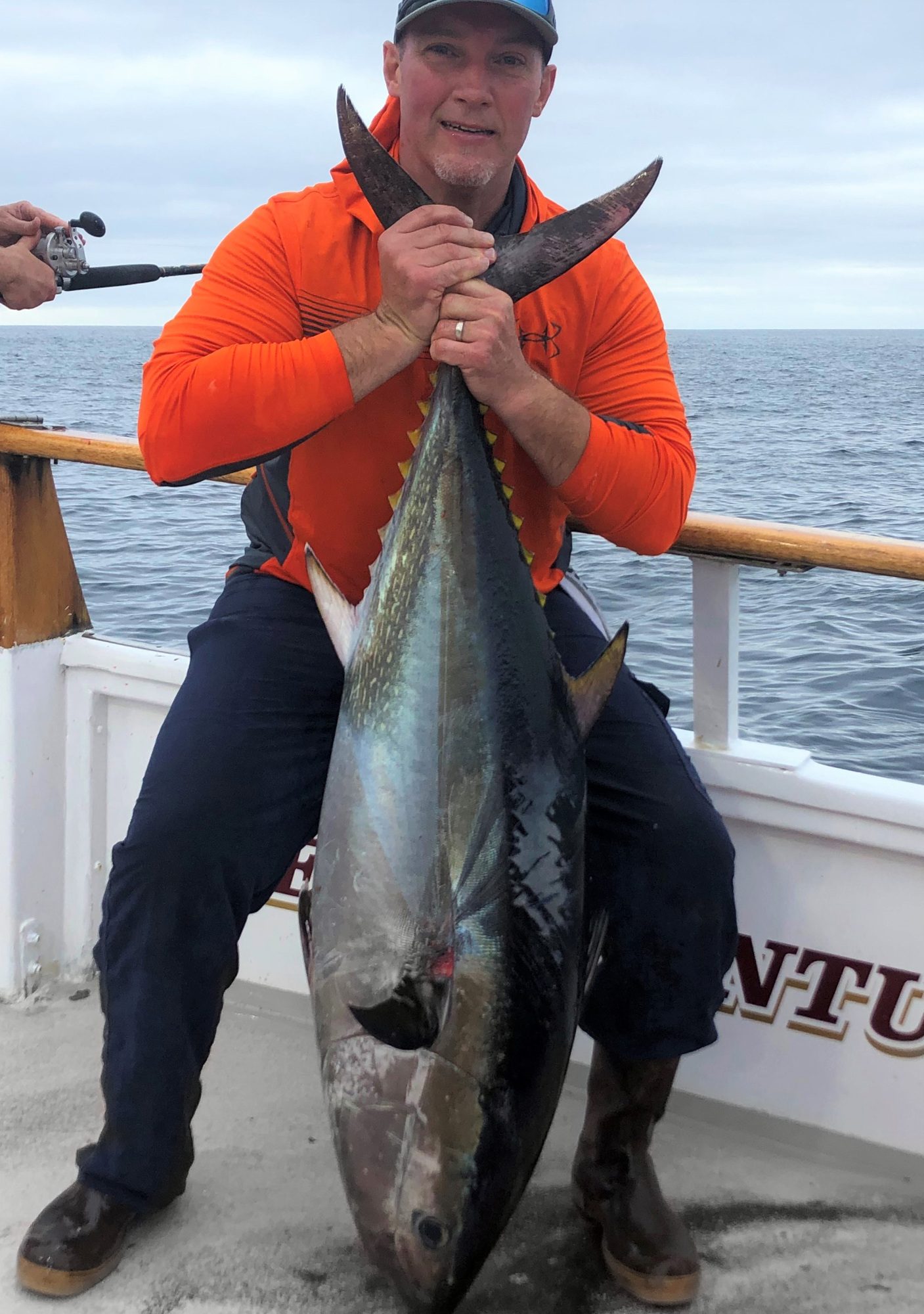 Blue-Fin-Tuna-Bill_V01.jpg