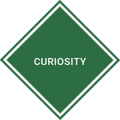 Curiosity.png