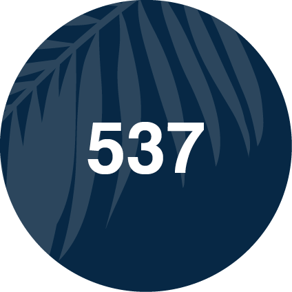 537.png