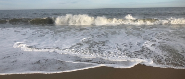 mgbeach_640x274.jpg