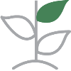 leaf icon