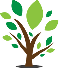 TrustTree Financial